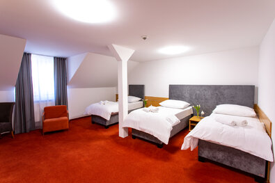 Hotel Nový Kaštieľ - ŠTANDARDNÉ IZBY - 3 - lôžko s kúpeľňou