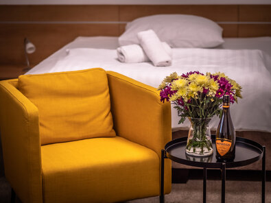 Hotel Nový Kaštieľ - ŠTANDARDNÉ IZBY